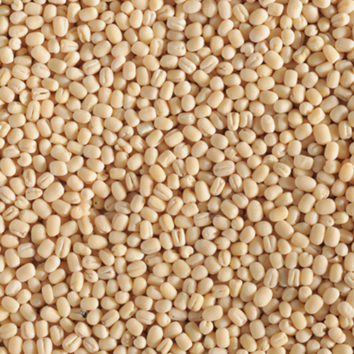Product 16